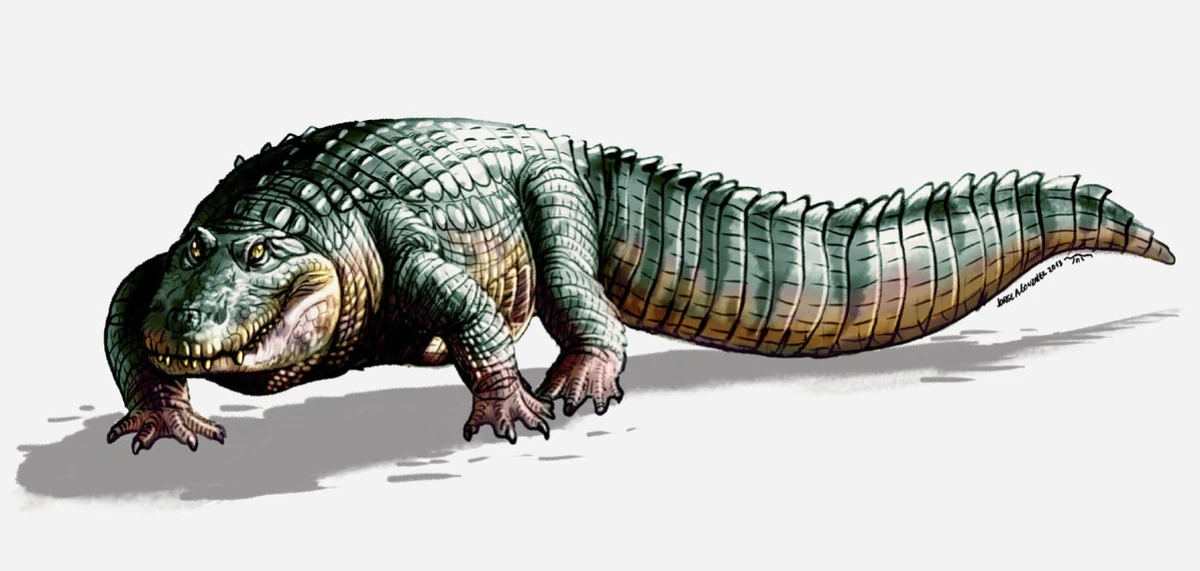 Crocodylus falconensis Dinopedia Fandom