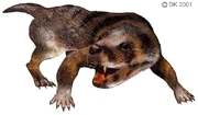 Thrinaxodon