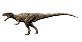 Durivenator