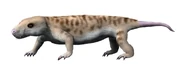 Galesaurus planiceps life restoration