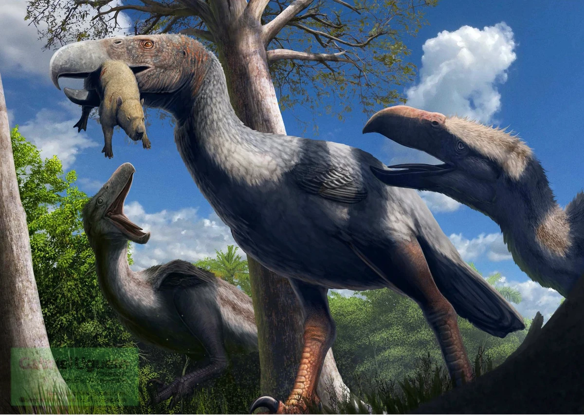 Devincenzia | Dinopedia | Fandom