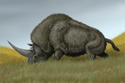 Restoration of Elasmotherium sibiricum eating