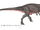 Compsosuchus