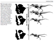 Tyrannosaurus Species T. rex, T. regina, T. imperator