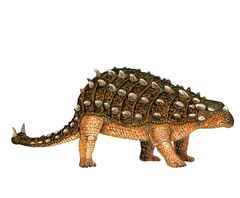 Scolosaurus