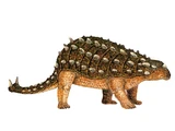 Scolosaurus