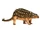 Scolosaurus
