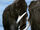 Mammoth