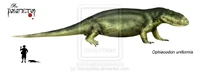 Ophiacodon uniformis.jpg (40 KB) Ophiacodon uniformis.