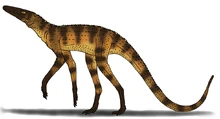 Terrestrisuchus by pristichampsus-d6k5tg1