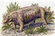 Jonkeria rossouwi.