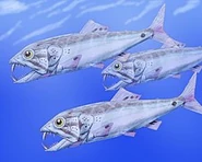 225px-Enchodus petrosus.jpg (11 KB)