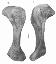 Screenshot 2020-03-07 W020090813371861636279 pdf(1)