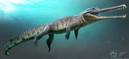 A picture of Thoracosaurus swimming