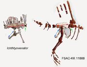 FSAC-KK-11888 comparission