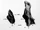 Leptophoca