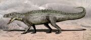 Restoration of Prestosuchus