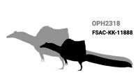 New giant spinosaurus specimen deform2018