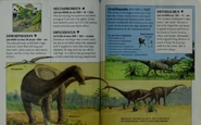 Seen in size comparison