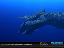 Tylosaurus fight-sw