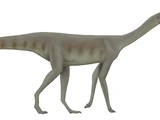 Asilisaurus