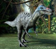 C0013806-Suchomimus dinosaur, artwork-SPL