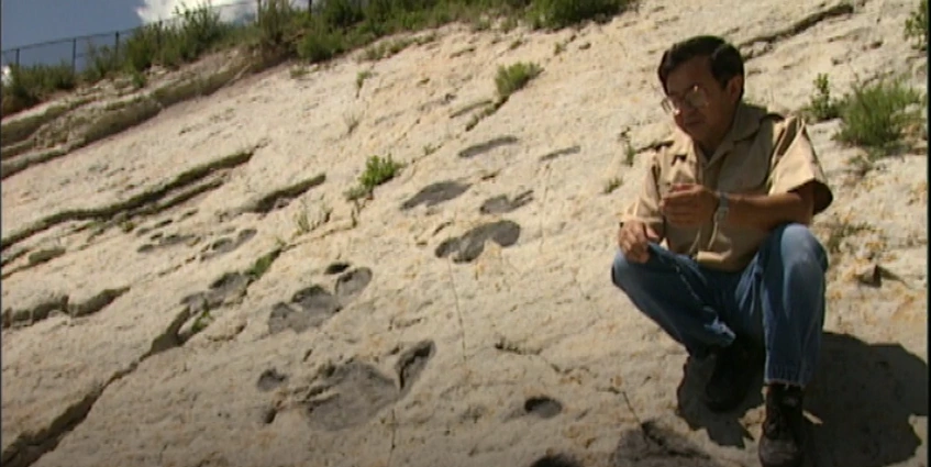 Carpenter Dinopedia Fandom