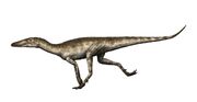 Lewisuchus the croc near dinosaur by pachyornis-d6kfoq2