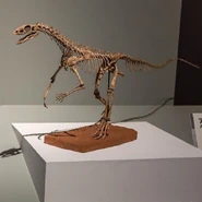 84687267 525577304740219 8650227485174776 n.jpg (35 KB)