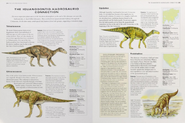 Cretaceous iguanodontids-hadrosaurids connection