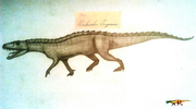 Nundasuchus Songeaensis