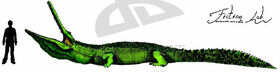 Stomatosuchus inermis by Kawekaweau