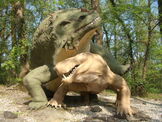DSCN2029.jpg