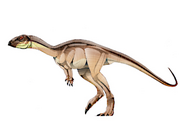 JPI Othnielia.png