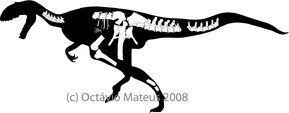 Lourinhanosaurus-skeleton