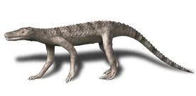 Dibothrosuchus BW