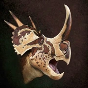 Stellasaurus ancellae head illustration