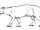 Tetraclaenodon