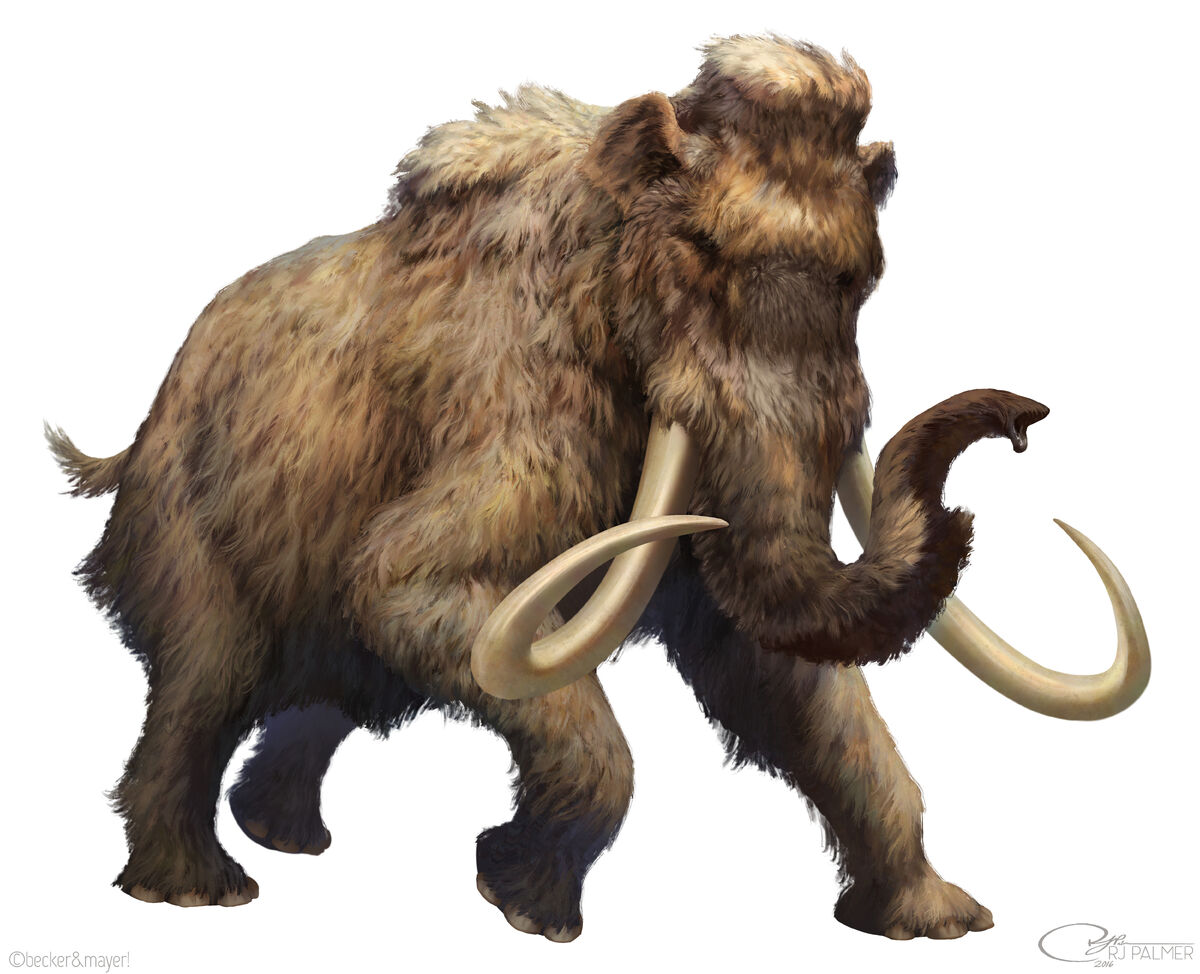 ancestral mammoth