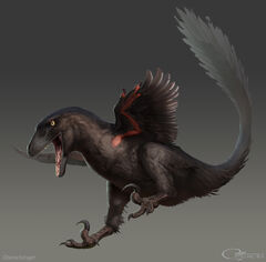 Reconstruction of a feathered Deinonychus antirrhopus. The morphology