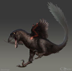 Deinonychus (Deinonychus antirrhopus) Dimensions & Drawings