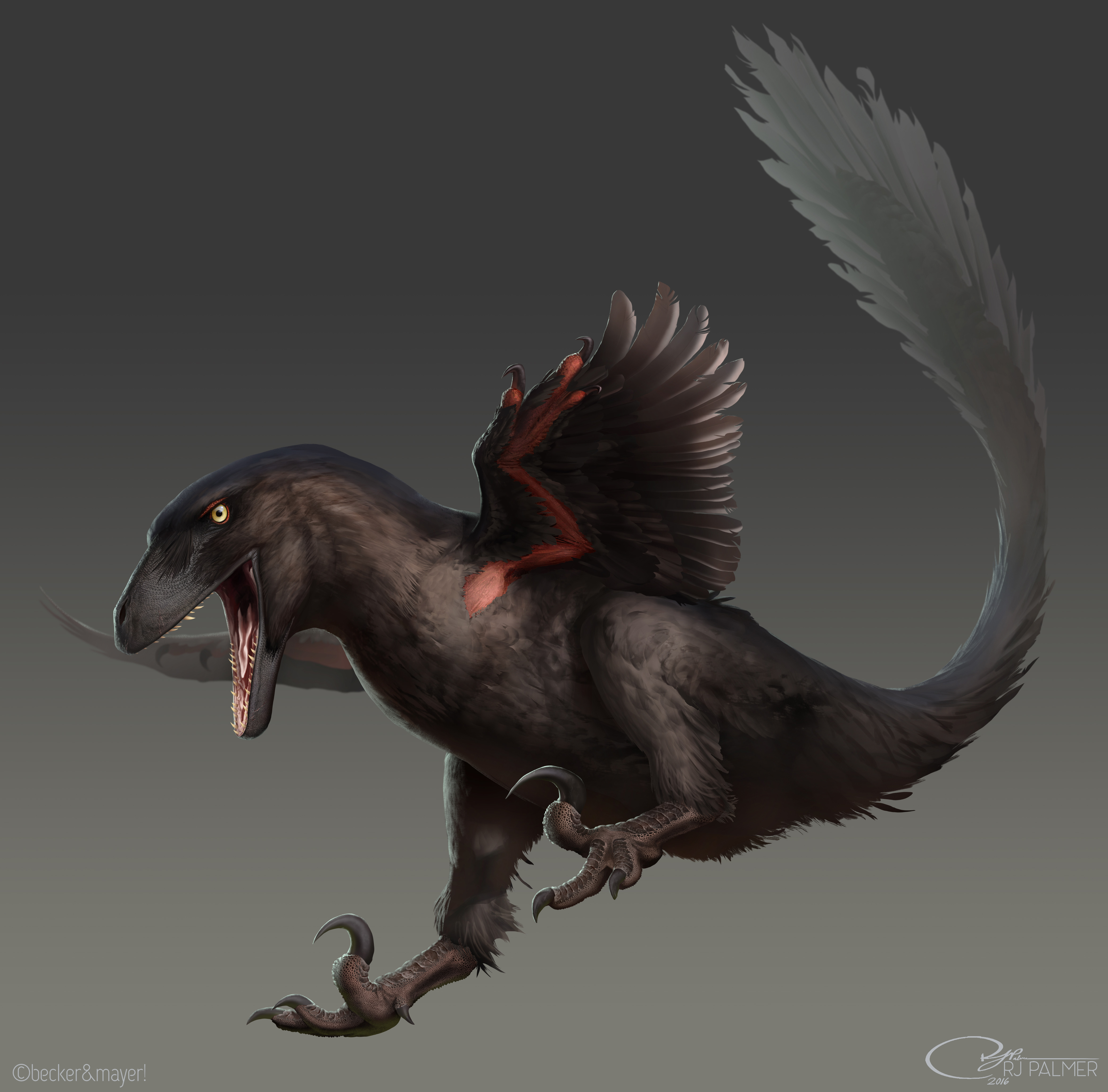 Deinonychus - Wikipedia