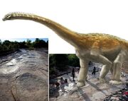 Sauropod Plagne-superimposed paleoArt-A. Bénéteau et Dinojura.jpg