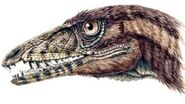 Tp-dinosaur-tawa-head 59d3