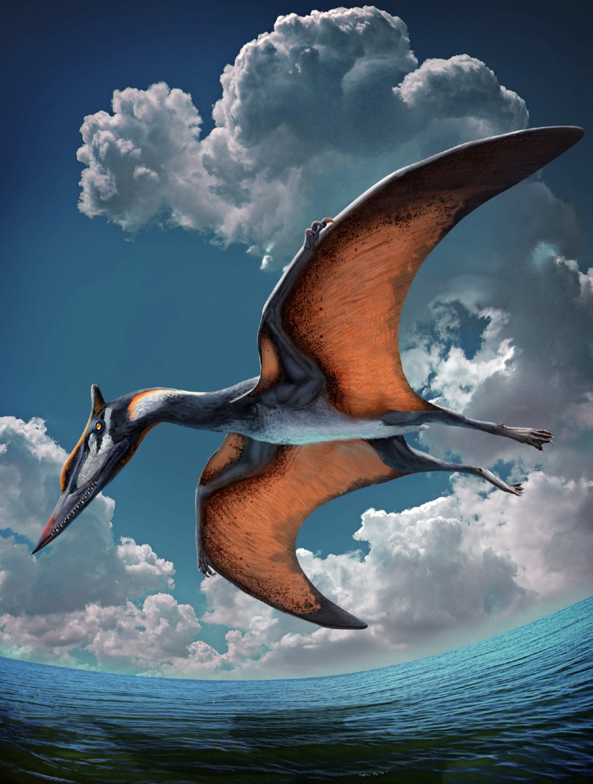 Pterosaurs - ScienceDirect