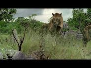 Walking With Beasts BBC -5- - Saber Tooth (part 4)