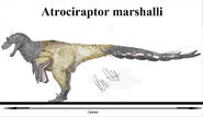 Atrociraptor marshalli by teratophoneus dexc2uq-pre