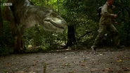 Daspletosaurus chases Steve.png (1.17 MB)