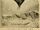 Ornithostoma