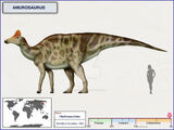 Amurosaurus